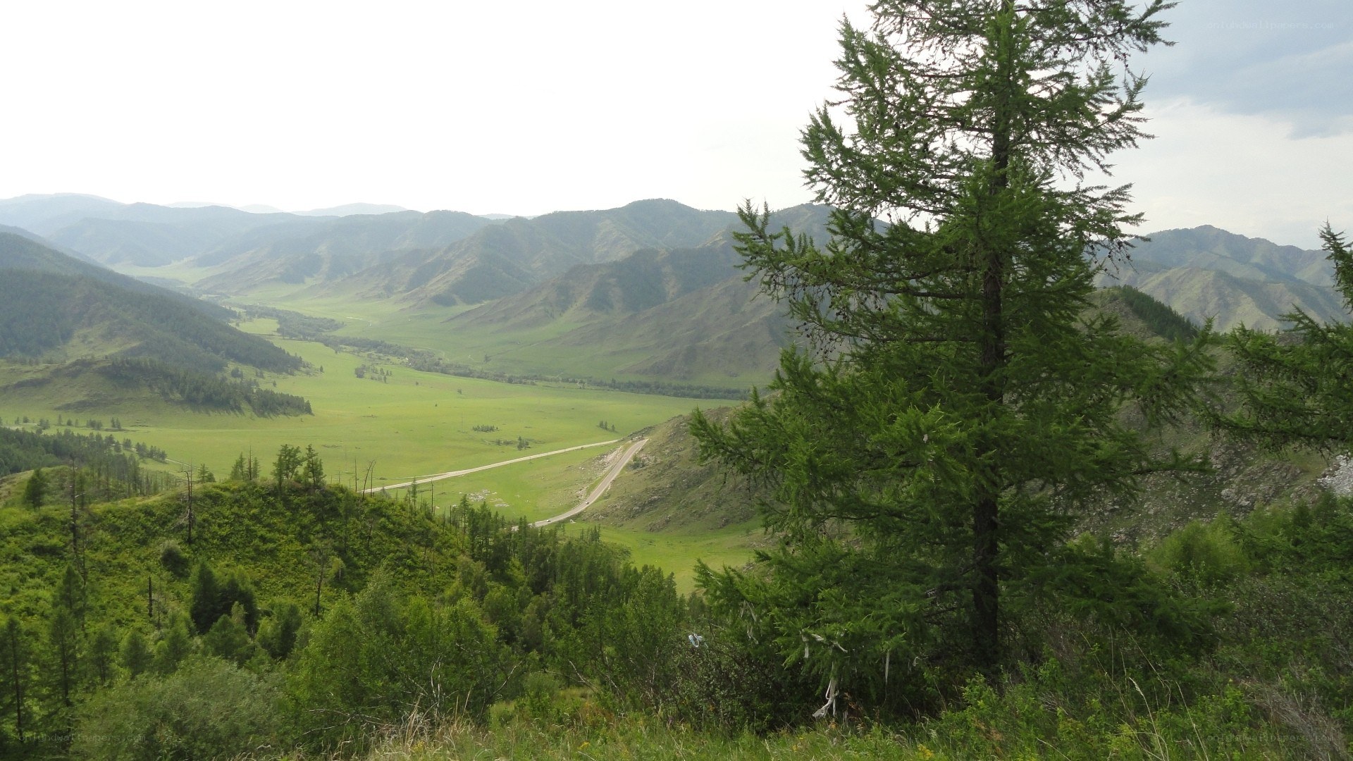 Mountain valley landscape
