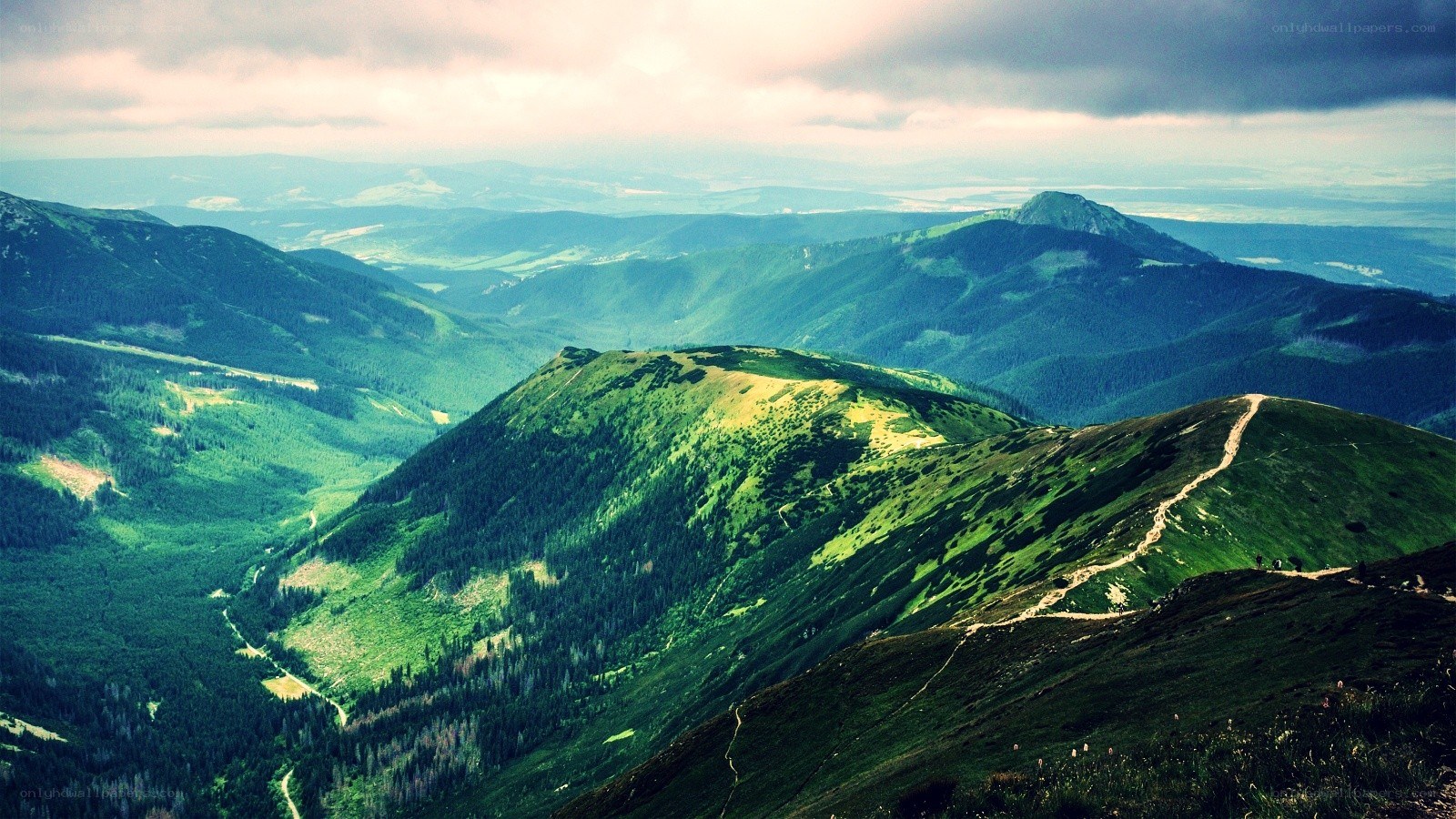 Mountain valley landscape
