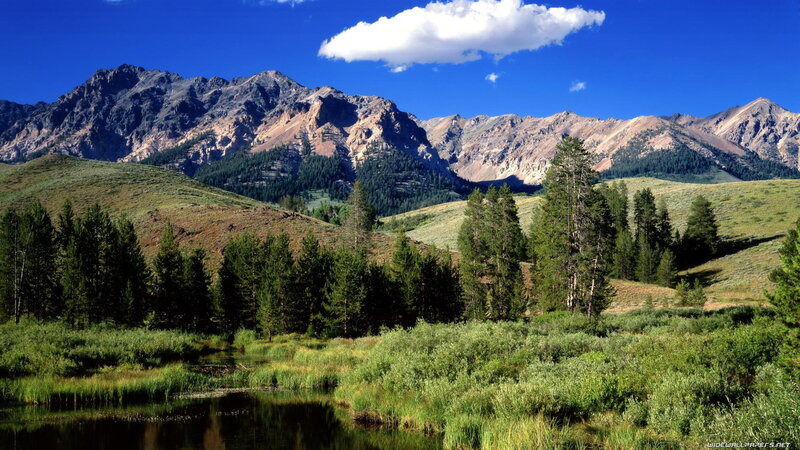 Mountain Valley Landscape — Blue, Serene, Afternoon, Photograph, Mountains, Trees