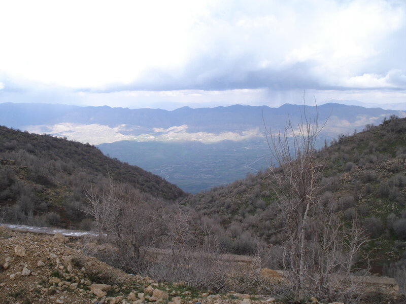 Mountain Valley Landscape — Brown, Overcast