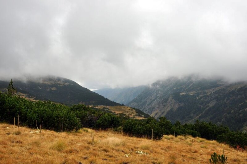 Mountain Valley Landscape — Gray