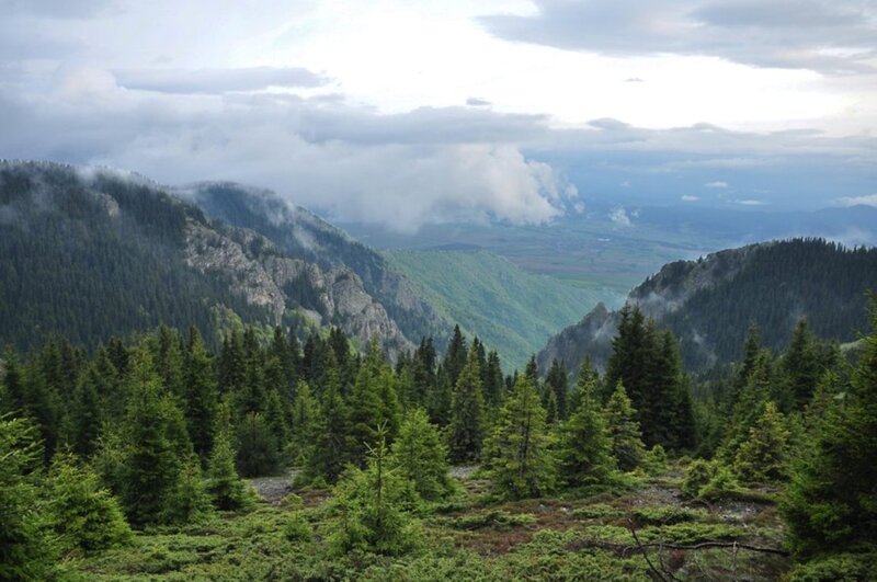 Mountain Valley Landscape — Green, Misty, Morning, Photograph