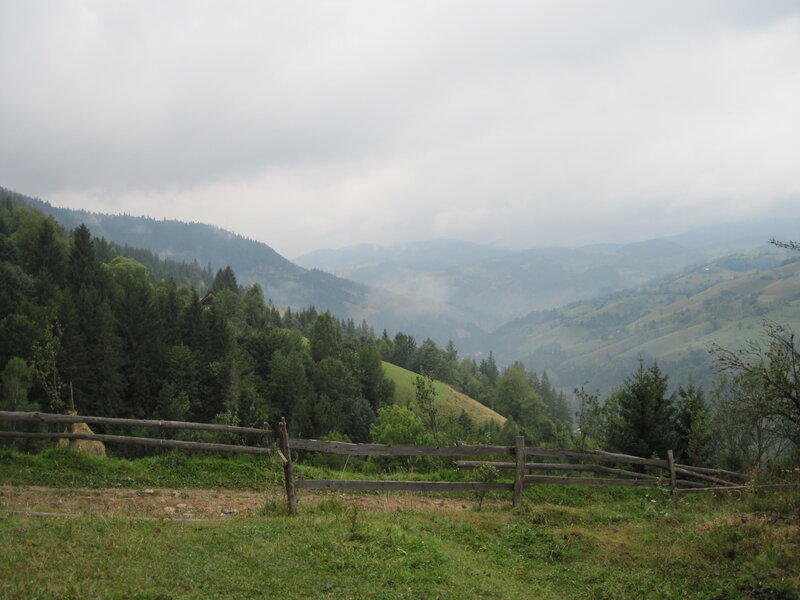 Mountain Valley Landscape — Green, Misty, Morning