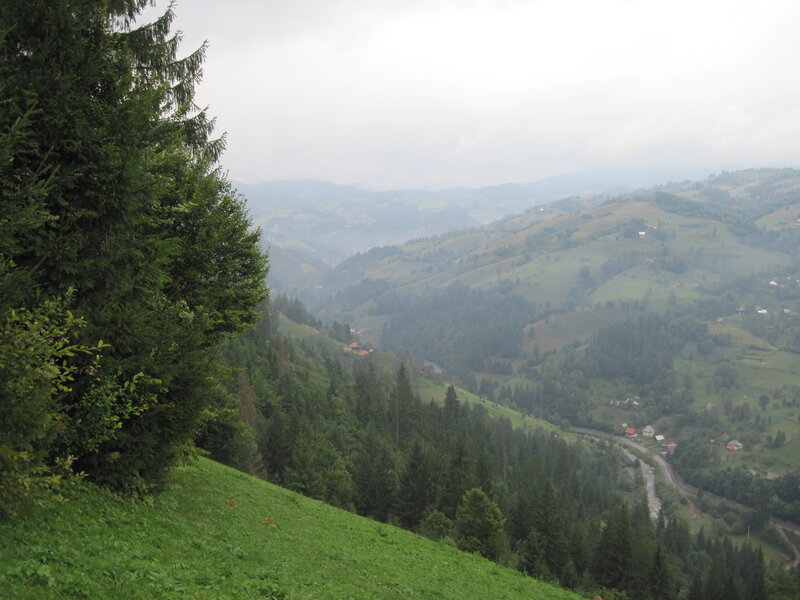 Mountain Valley Landscape — Green, Misty
