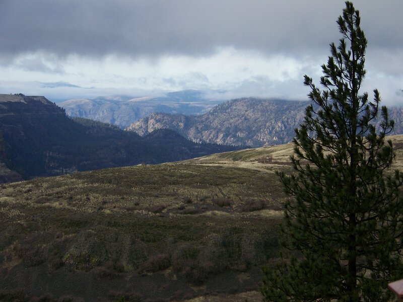 Mountain Valley Landscape — Green, Overcast, Photograph, Tree