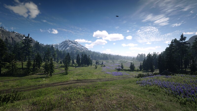 Mountain Valley Landscape — Green, Serene, Afternoon, 3d Render, Trees