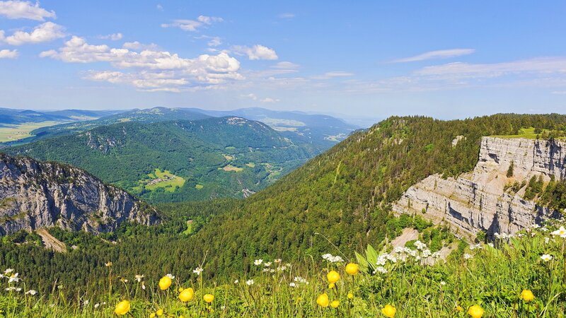 Mountain Valley Landscape — Green, Serene, Afternoon, Photograph, Flowers, Cliffs