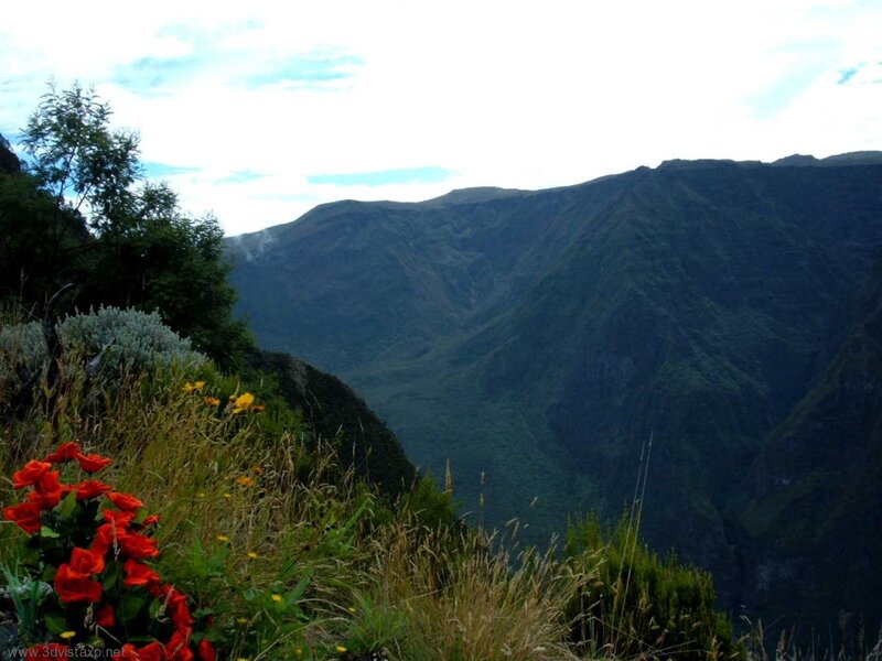 Mountain Valley Landscape — Green, Serene, Afternoon, Photograph, Flowers