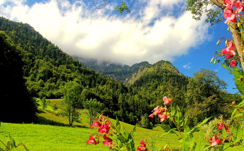 Mountain Valley Landscape — Green, Serene, Afternoon, Photograph, Flowers, Trees, Clouds