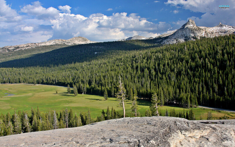 Mountain Valley Landscape — Green, Serene, Afternoon, Photograph, Forest, Meadow