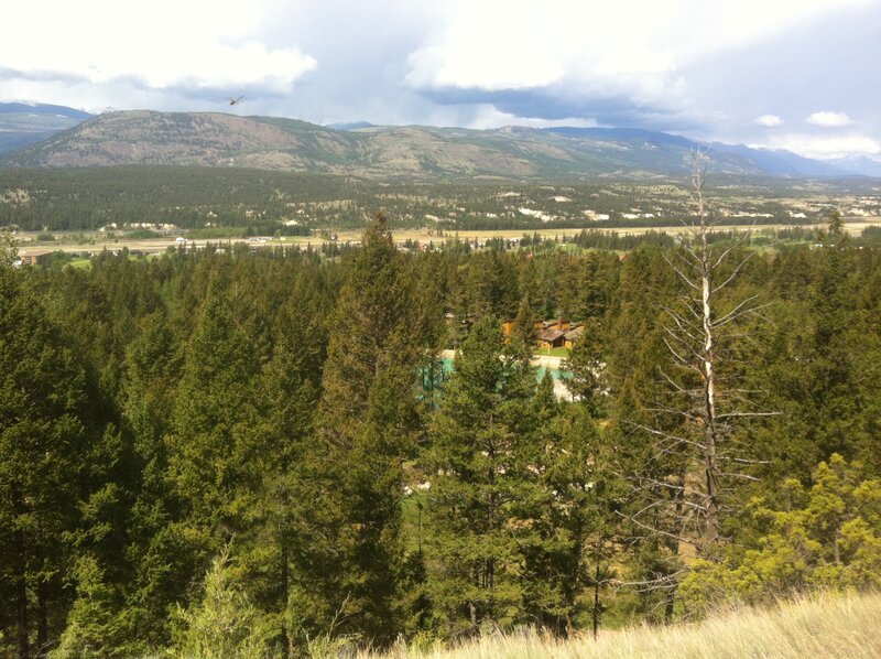 Mountain Valley Landscape — Green, Serene, Afternoon, Photograph, Forest, Mountains