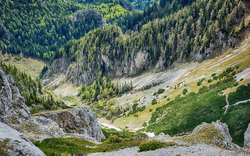 Mountain Valley Landscape — Green, Serene, Afternoon, Photograph, Forest, River, Rocks