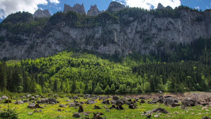 Mountain Valley Landscape — Green, Serene, Afternoon, Photograph, Forest, Rocks