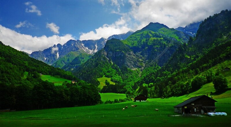 Mountain Valley Landscape — Green, Serene, Afternoon, Photograph, Mountains, Cows