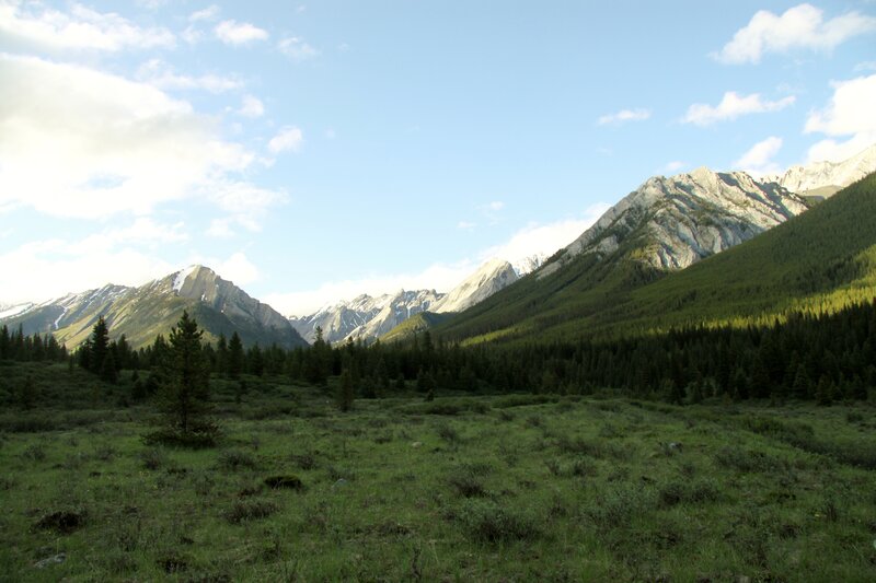 Mountain Valley Landscape — Green, Serene, Afternoon, Photograph, Mountains, Forest, Meadow