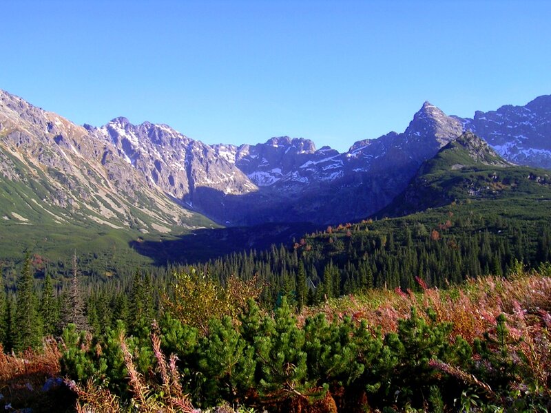 Mountain Valley Landscape — Green, Serene, Afternoon, Photograph, Mountains, Forest, Sky