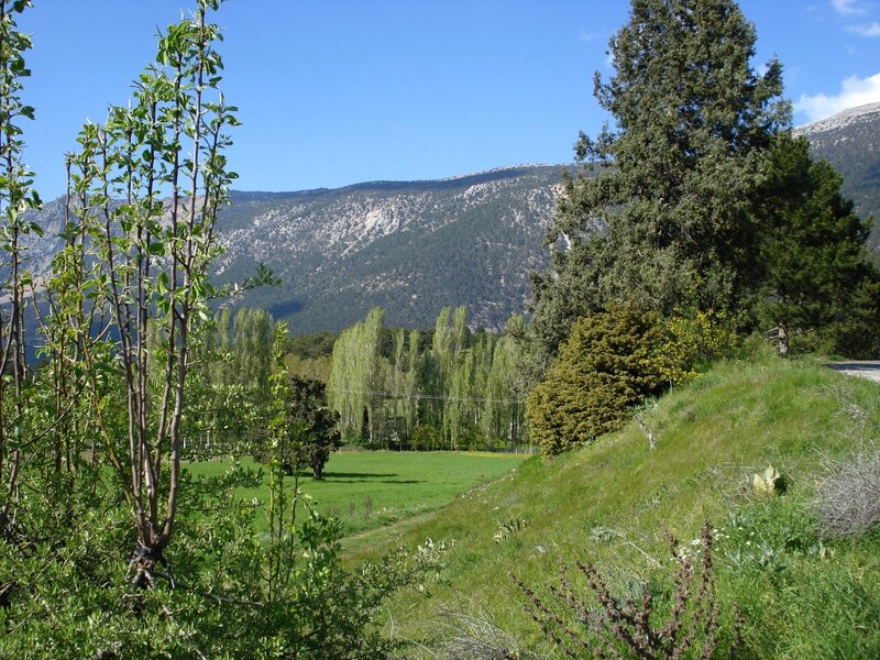 Mountain Valley Landscape — Green, Serene, Afternoon, Photograph, Trees, Grass