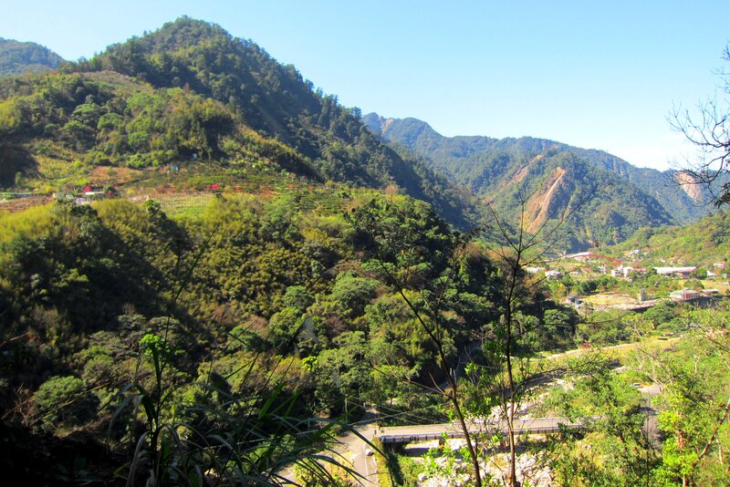 Mountain Valley Landscape — Green, Serene, Afternoon, Photograph, Trees, Road