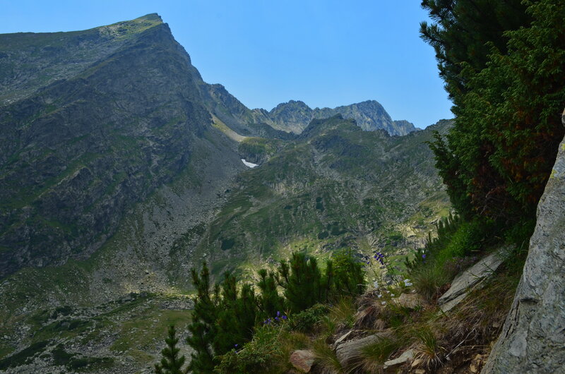 Mountain Valley Landscape — Green, Serene, Afternoon, Photograph, Trees, Rocks, Flowers