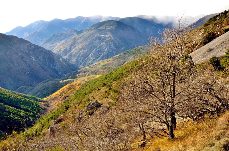 Mountain Valley Landscape — Green, Serene, Autumn, Photograph, Trees, Hills