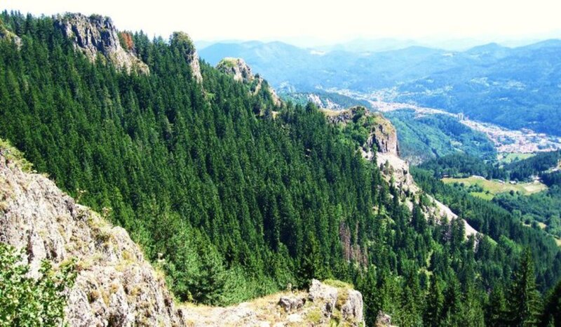 Mountain Valley Landscape — Green, Serene, Daytime, Photograph