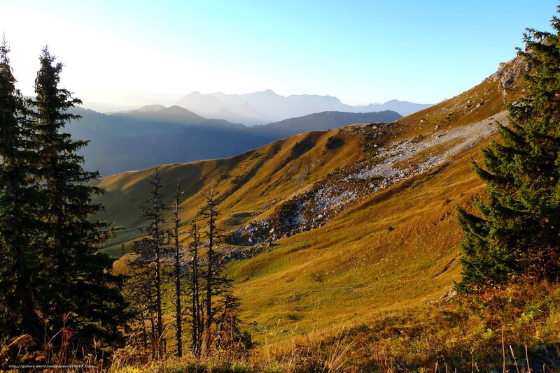 Mountain Valley Landscape — Green, Serene, Morning, Photograph, Trees, Hills