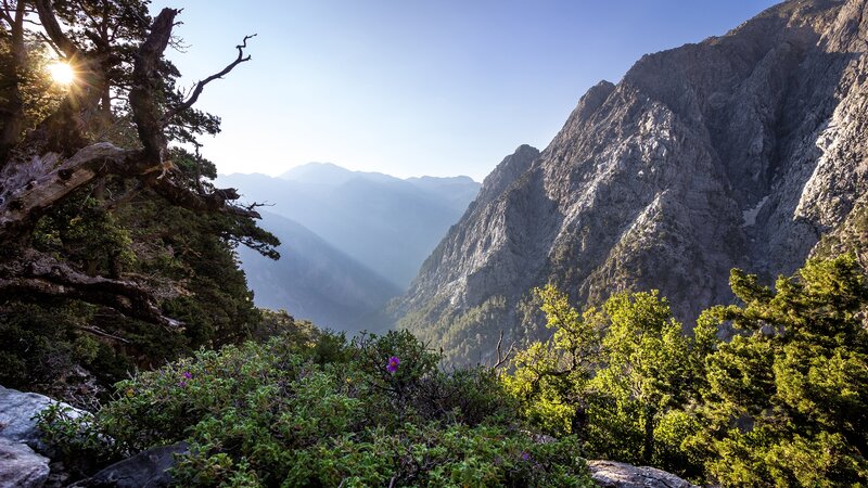 Mountain Valley Landscape — Green, Serene, Morning, Photograph, Trees, Sunlight