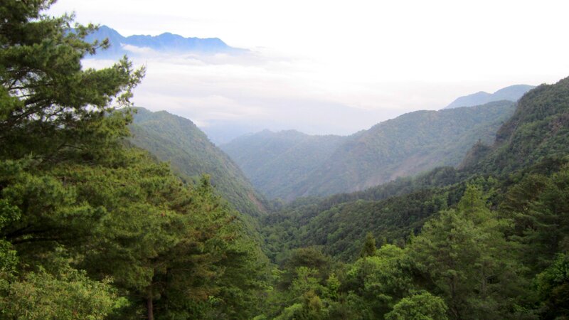 Mountain Valley Landscape — Green, Serene, Morning, Photograph, Trees
