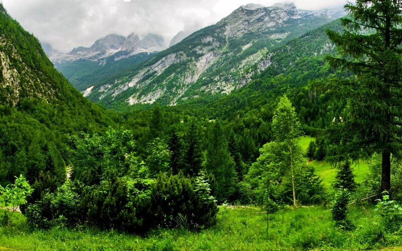 Mountain Valley Landscape — Green, Serene, Photograph, Trees