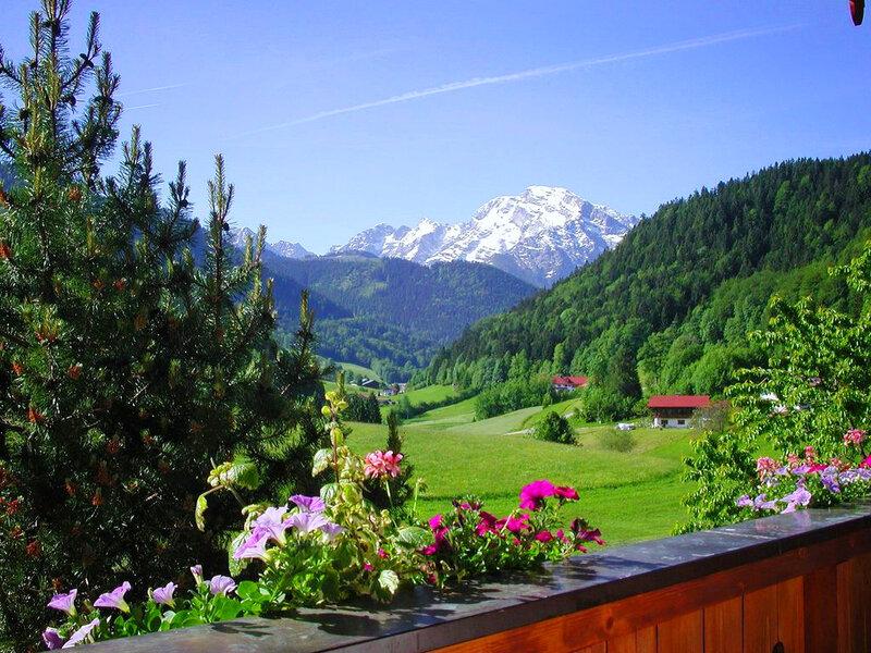 Mountain Valley Landscape — Green, Serene, Summer, Photograph, Flowers