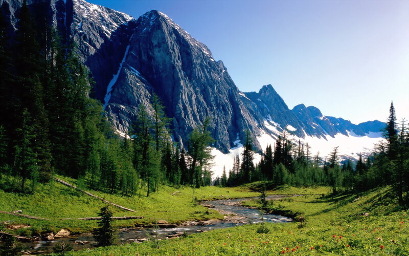 Mountain Valley Landscape — Green, Serene, Summer, Photograph, Mountains, River, Trees