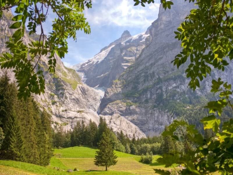 Mountain Valley Landscape — Green, Serene, Summer, Photograph, Trees