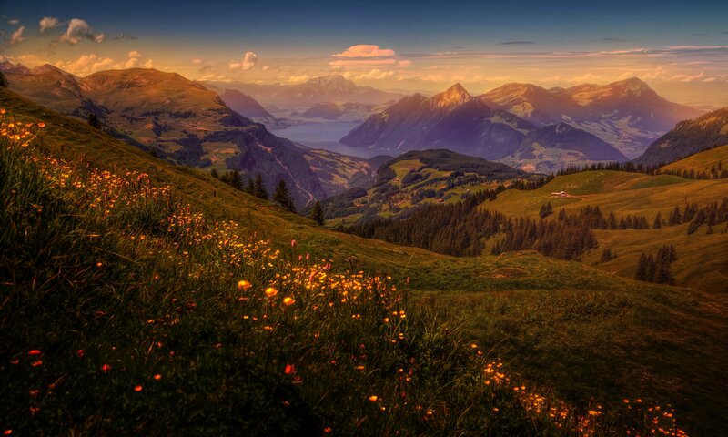 Mountain Valley Landscape — Green, Serene, Sunset, Photograph, Flowers
