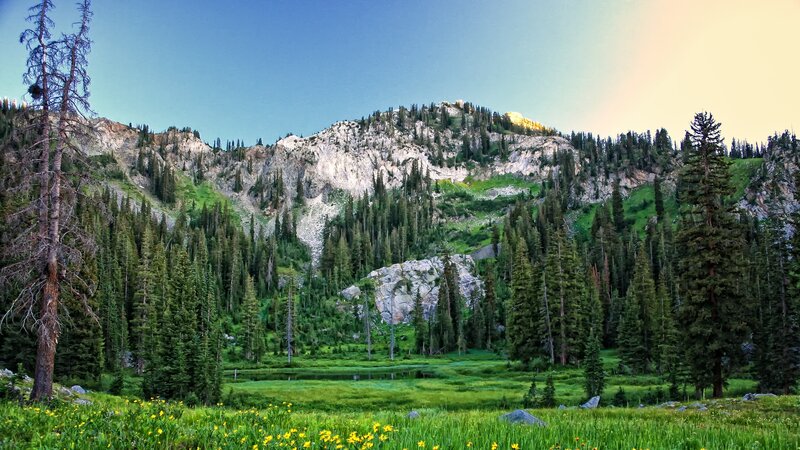 Mountain Valley Landscape — Green, Serene, Sunset, Photograph, Trees