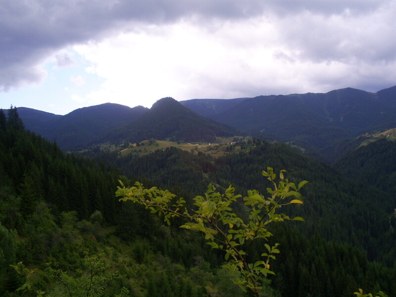 Mountain Valley Landscape — Green, Serene