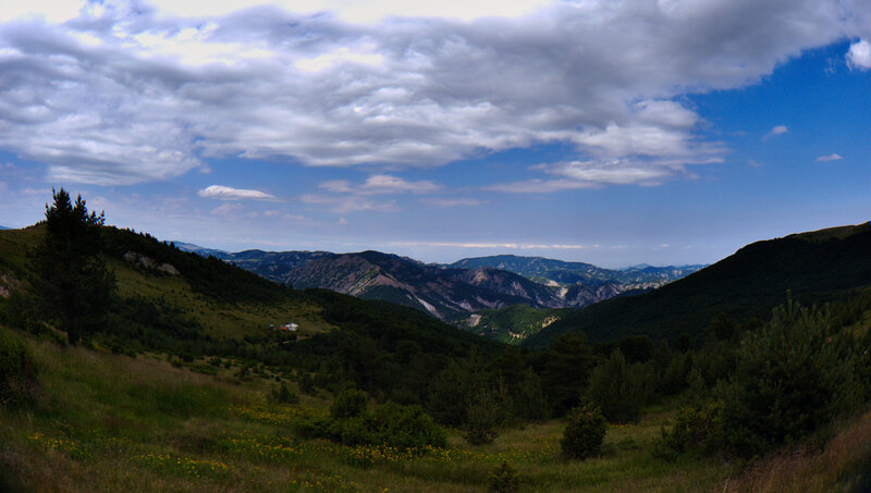 Mountain Valley Landscape — Green