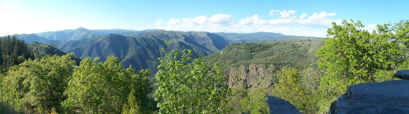 Mountain Valley Landscape — Trees