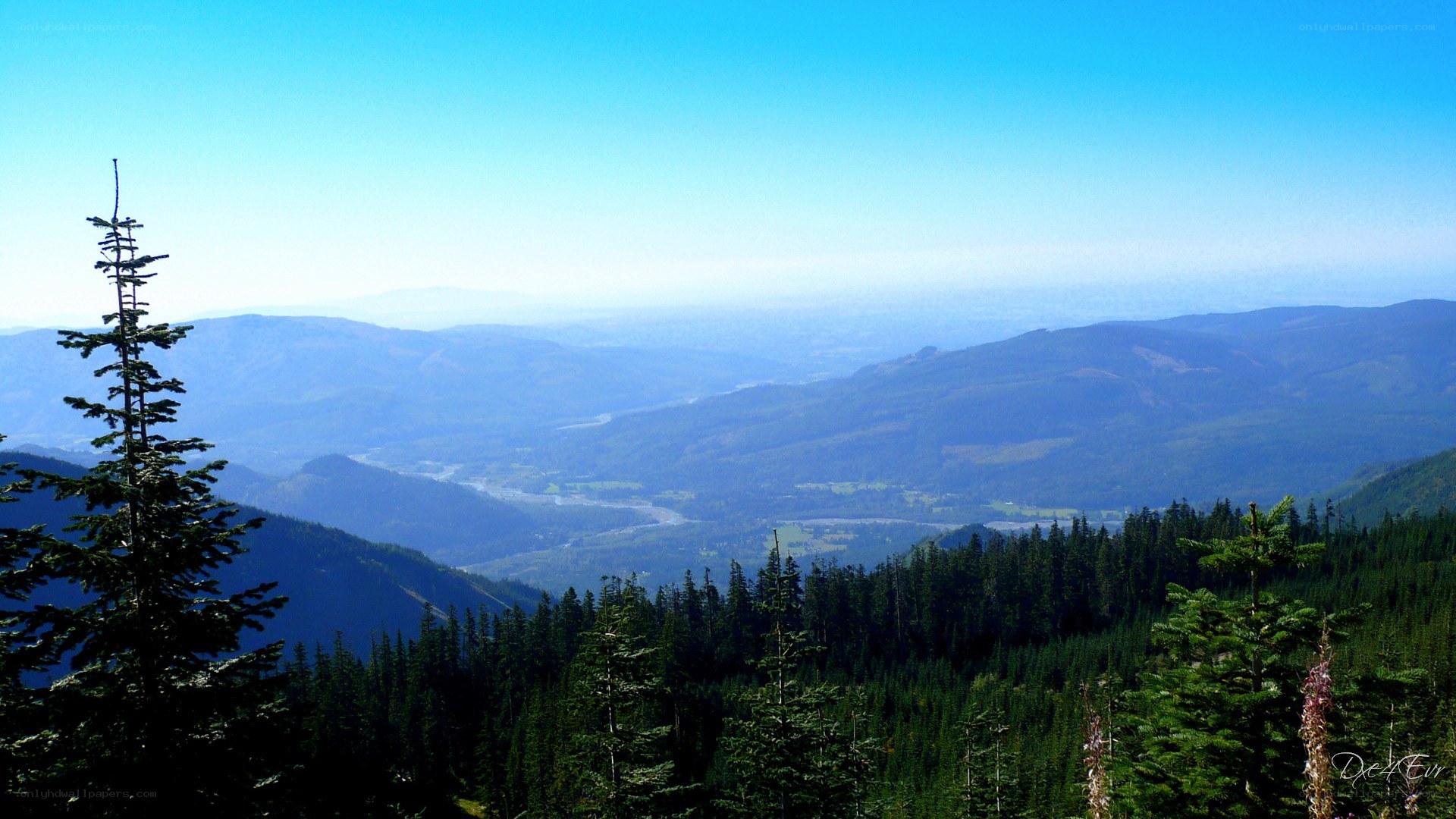 Mountain valley landscape view
