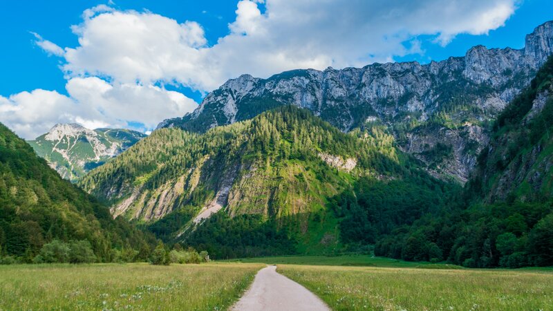 Mountain Valley Path