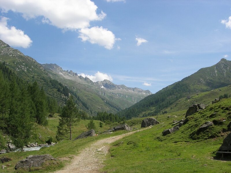 Mountain valley trail with river