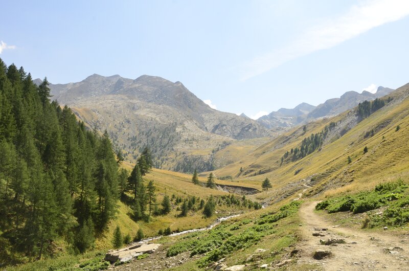Mountain valley trail with stream