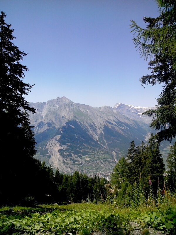 Mountain valley view from forest