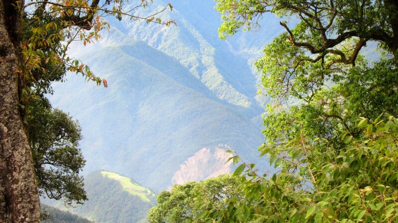 Mountain Valley View — Green, Serene, Afternoon, Photograph