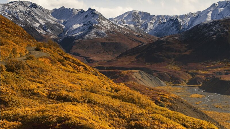 Mountain Valley with Autumn Foliage — Yellow