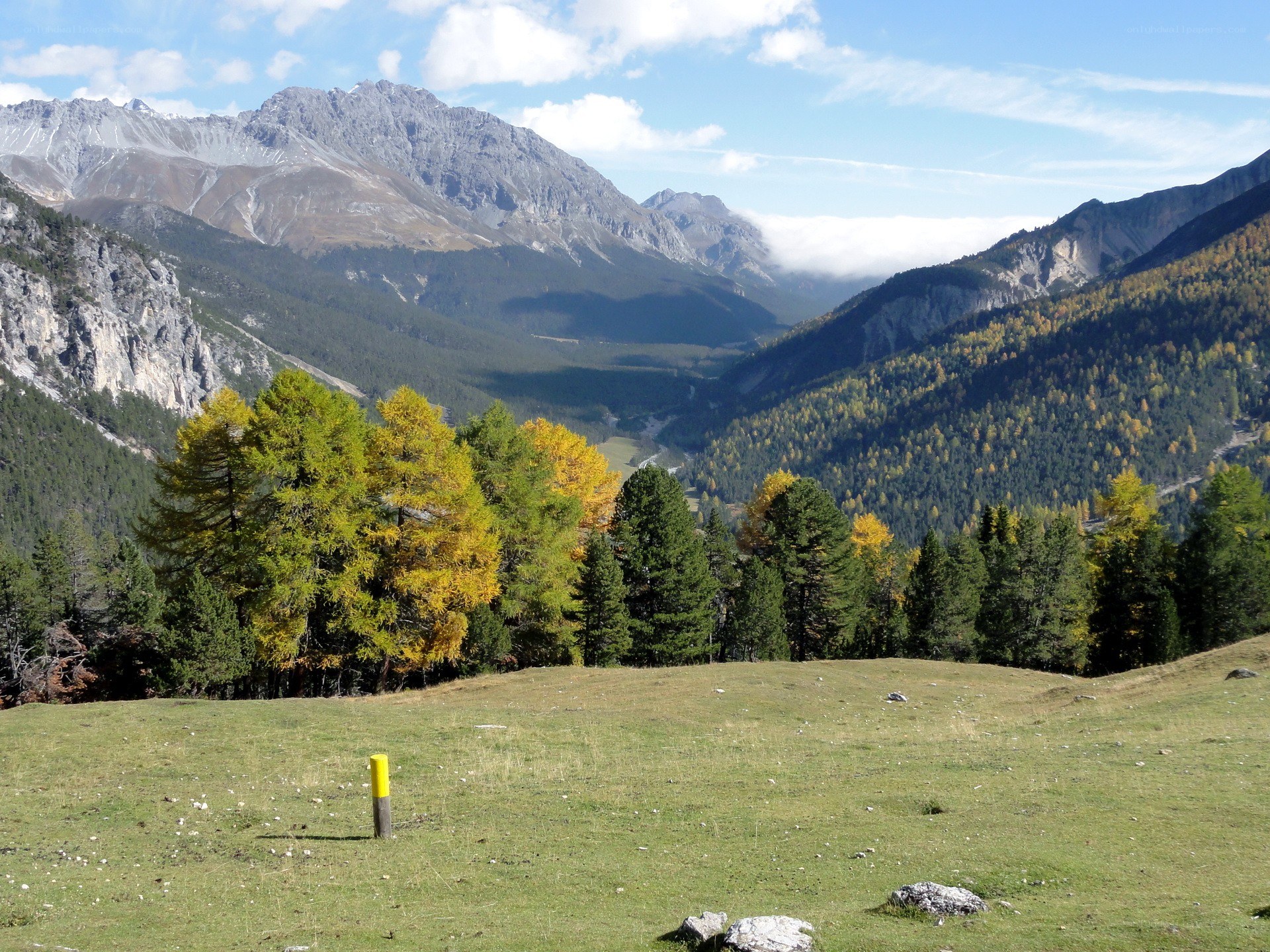 Mountain valley with autumn trees