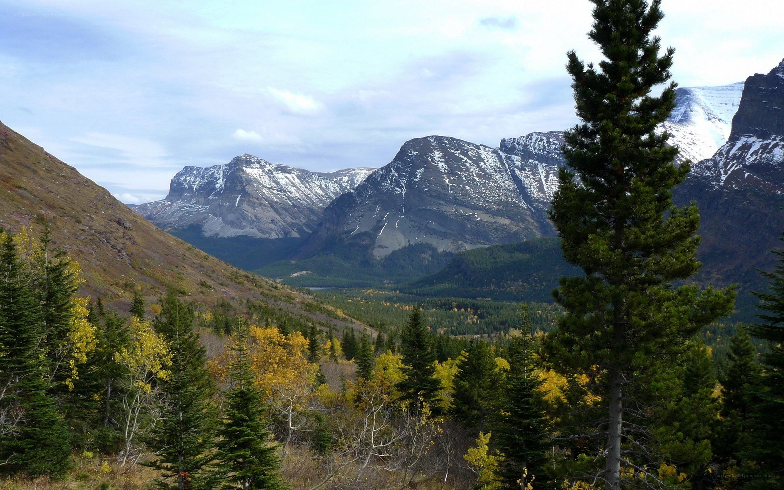 mountain valley with autumn trees
