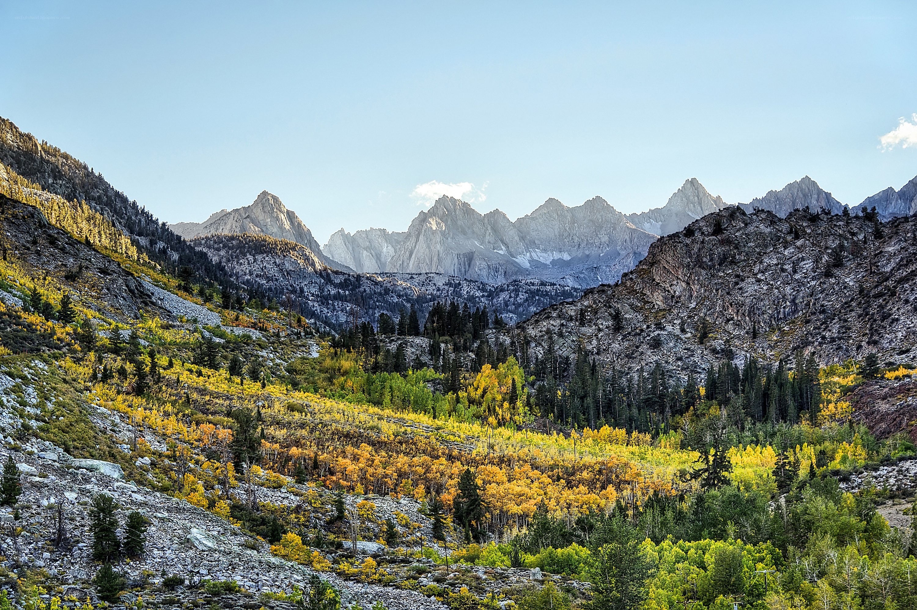 Mountain valley with autumn trees