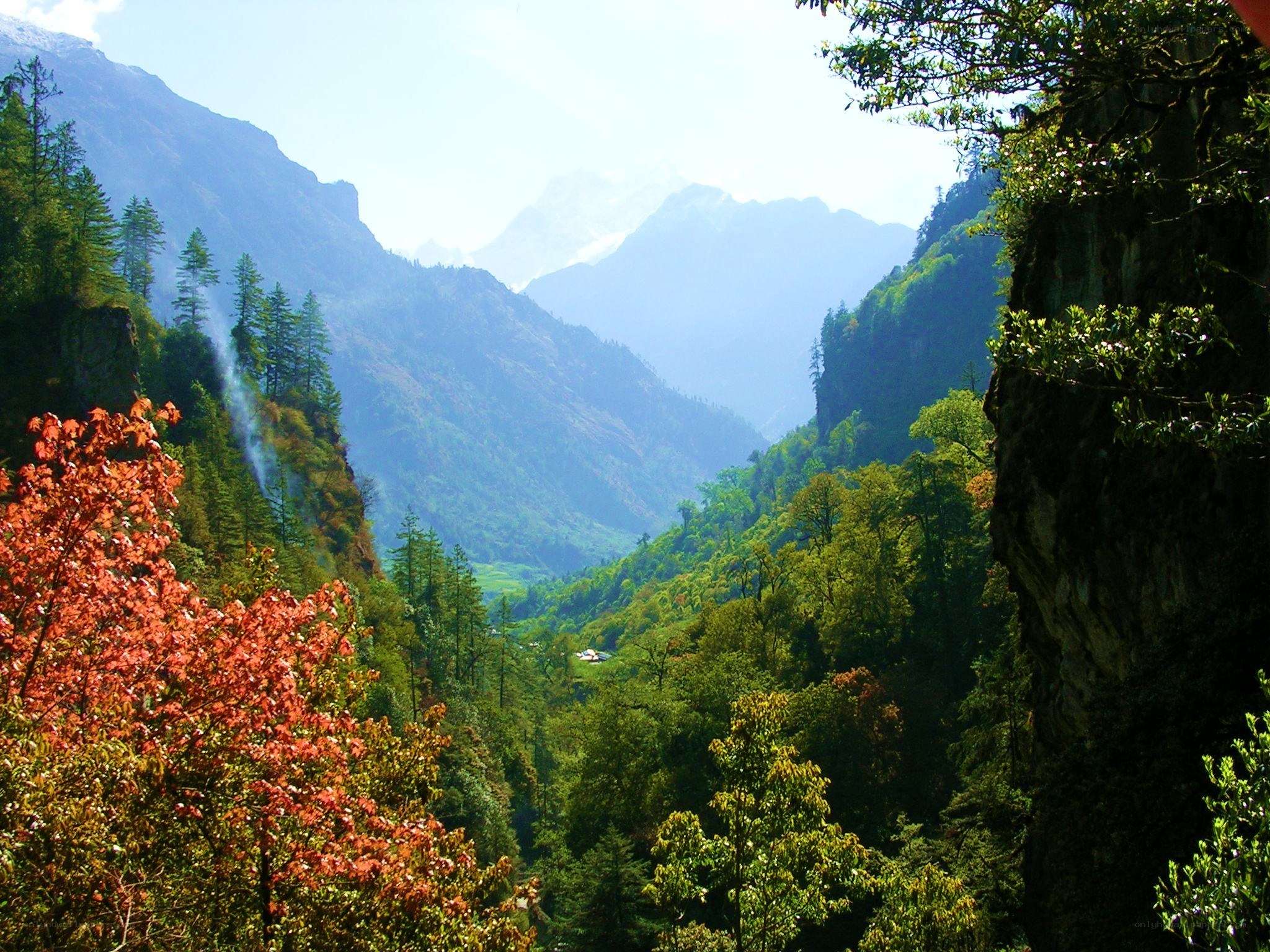 mountain valley with autumn trees