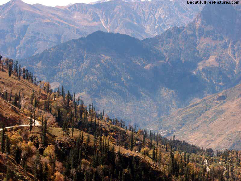 Mountain valley with autumn trees