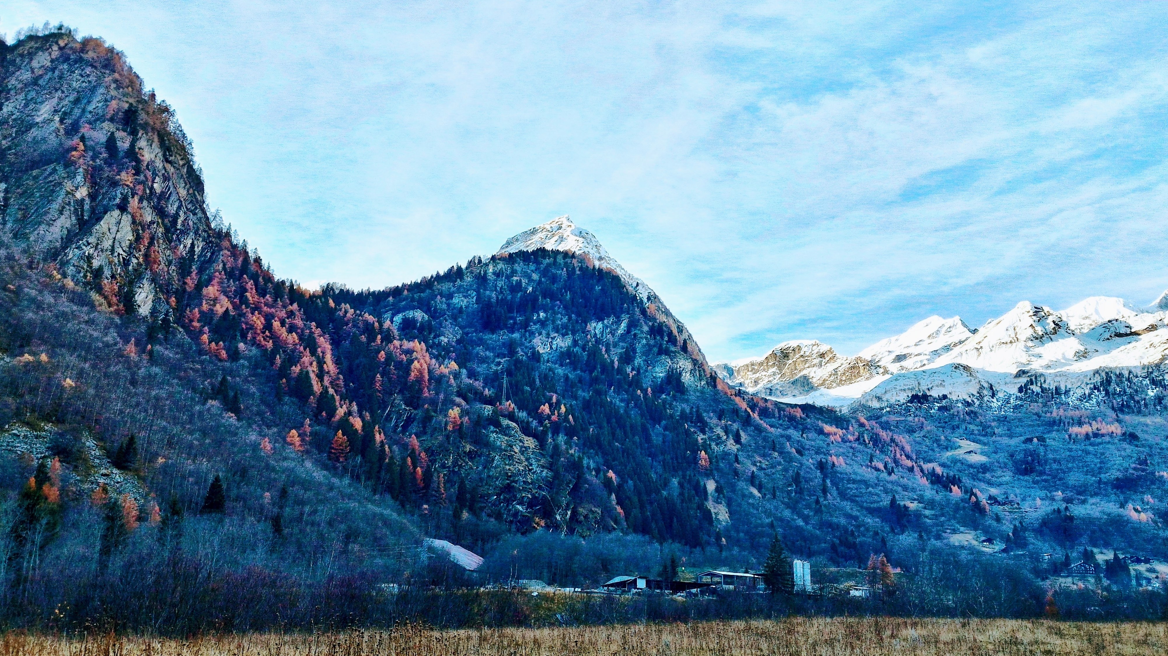Mountain valley with autumn trees